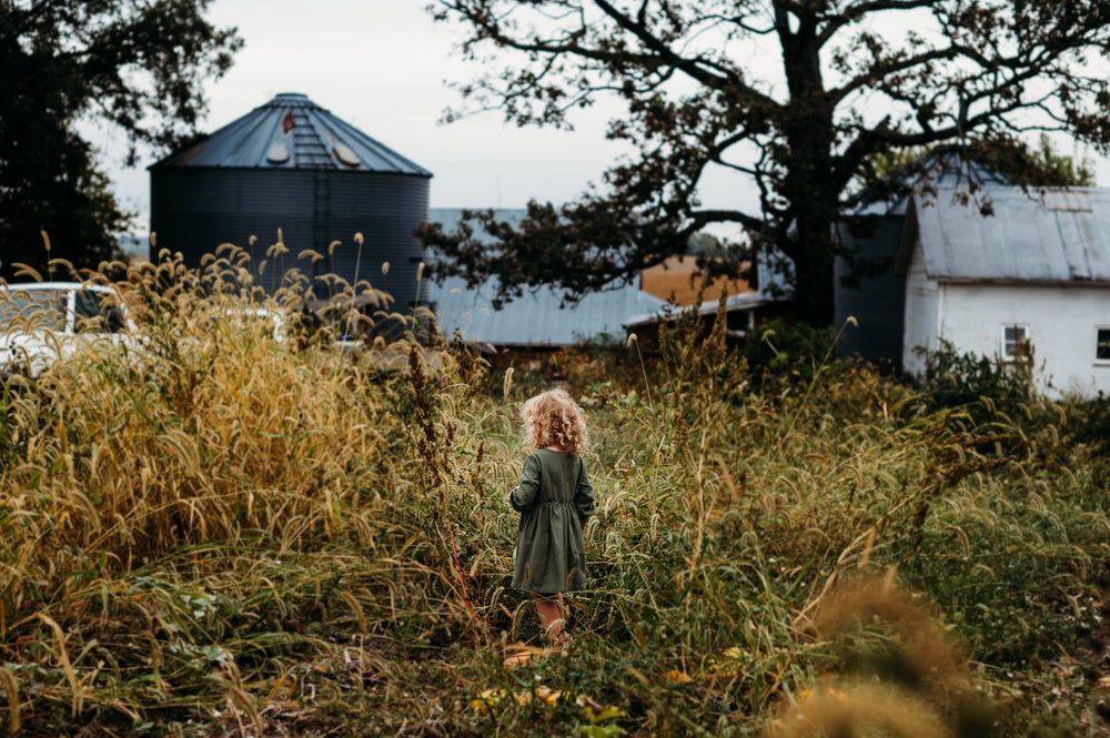 How to Reclaim a Weedy Garden