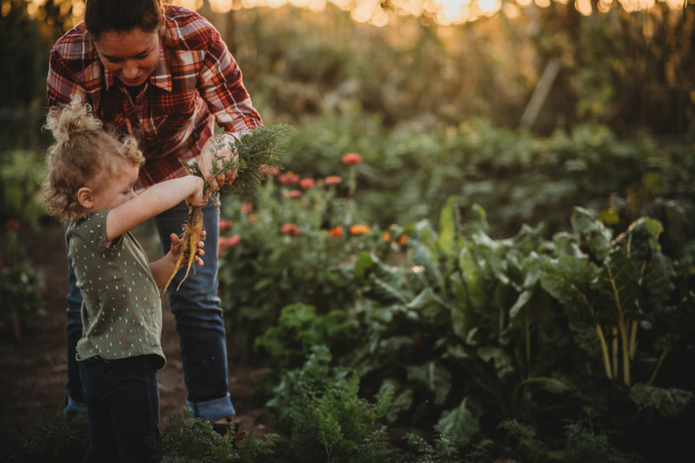 The Many Benefits of Gardening