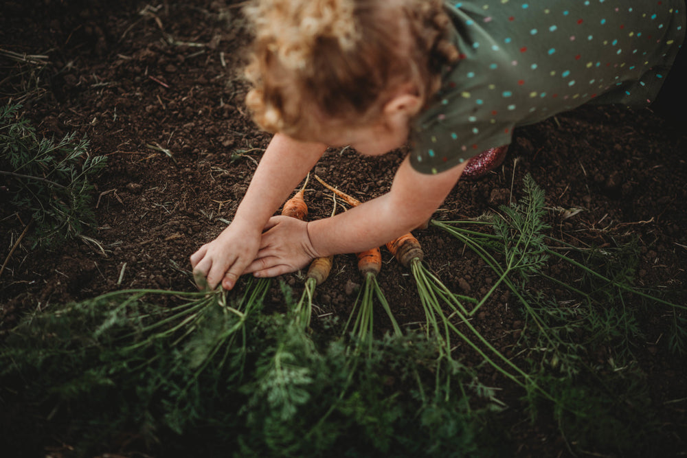 The Best Kept Secret About Growing Carrots