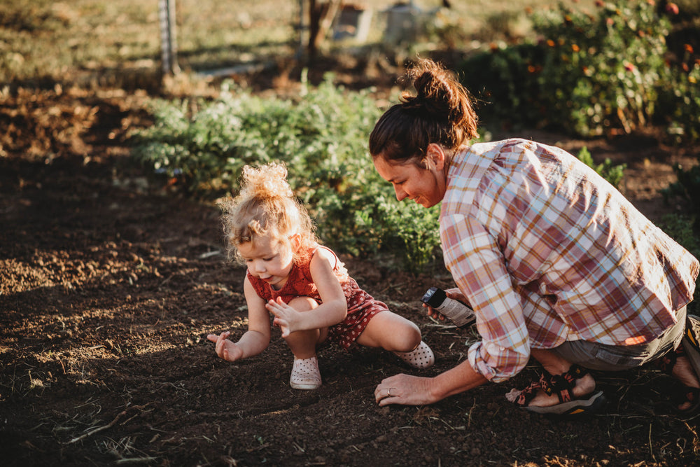 The Hows and Whys of Raised Bed Gardening