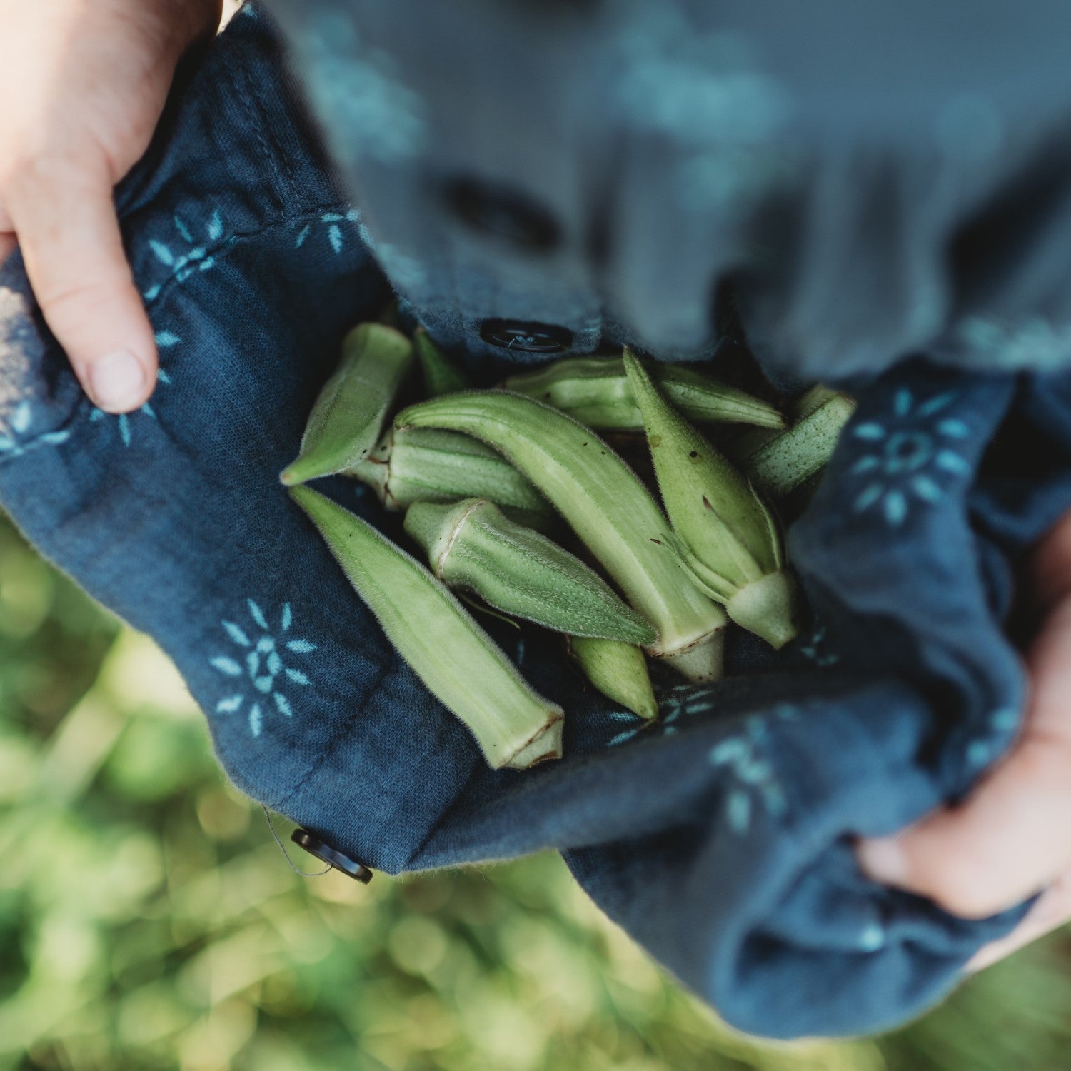 Okra Companions