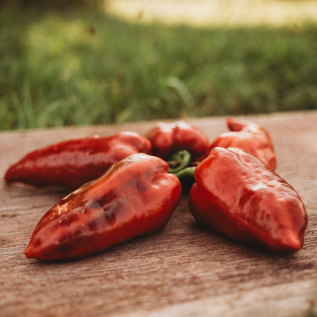 Turkish Peppers