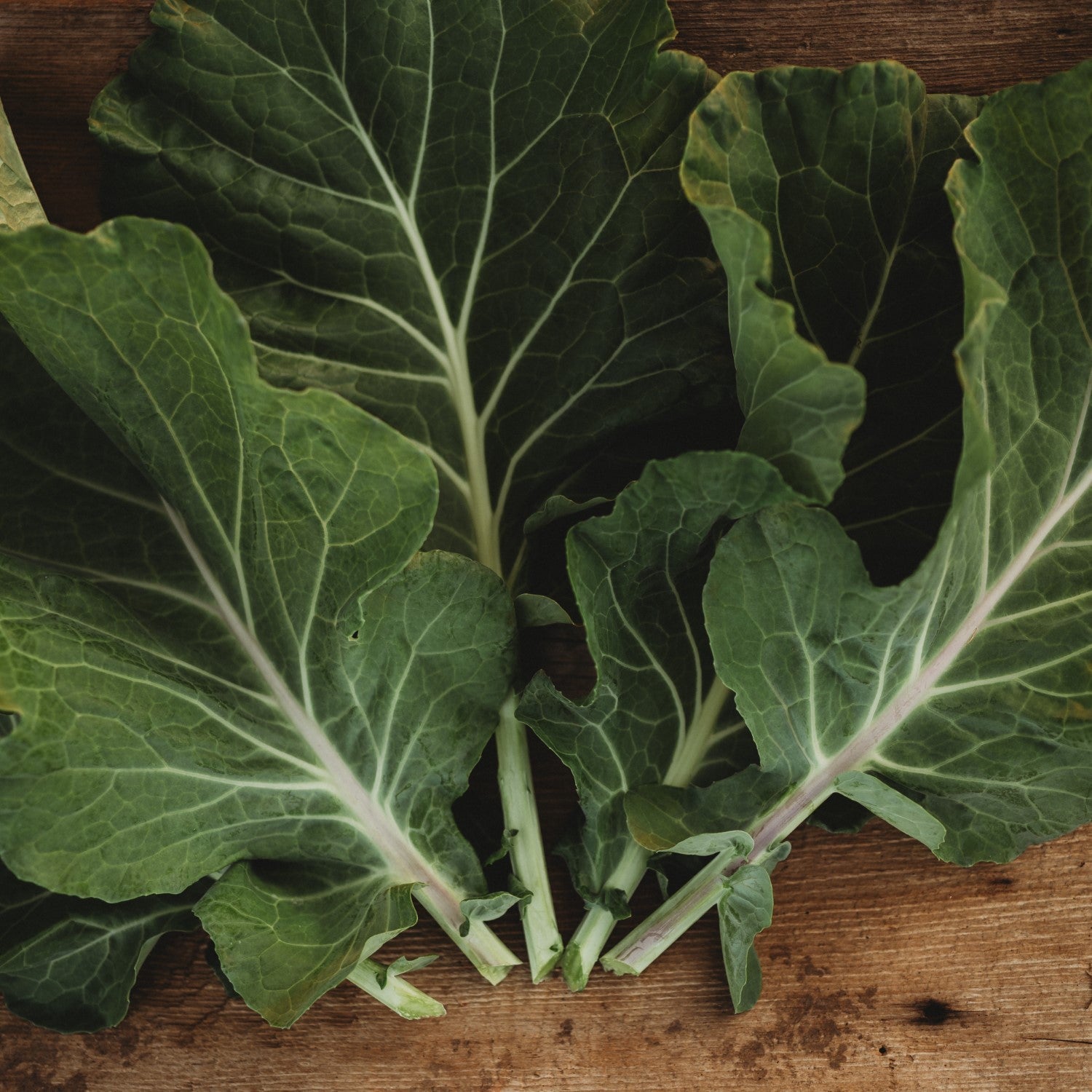 Brussels Sprouts, Collards, Kale