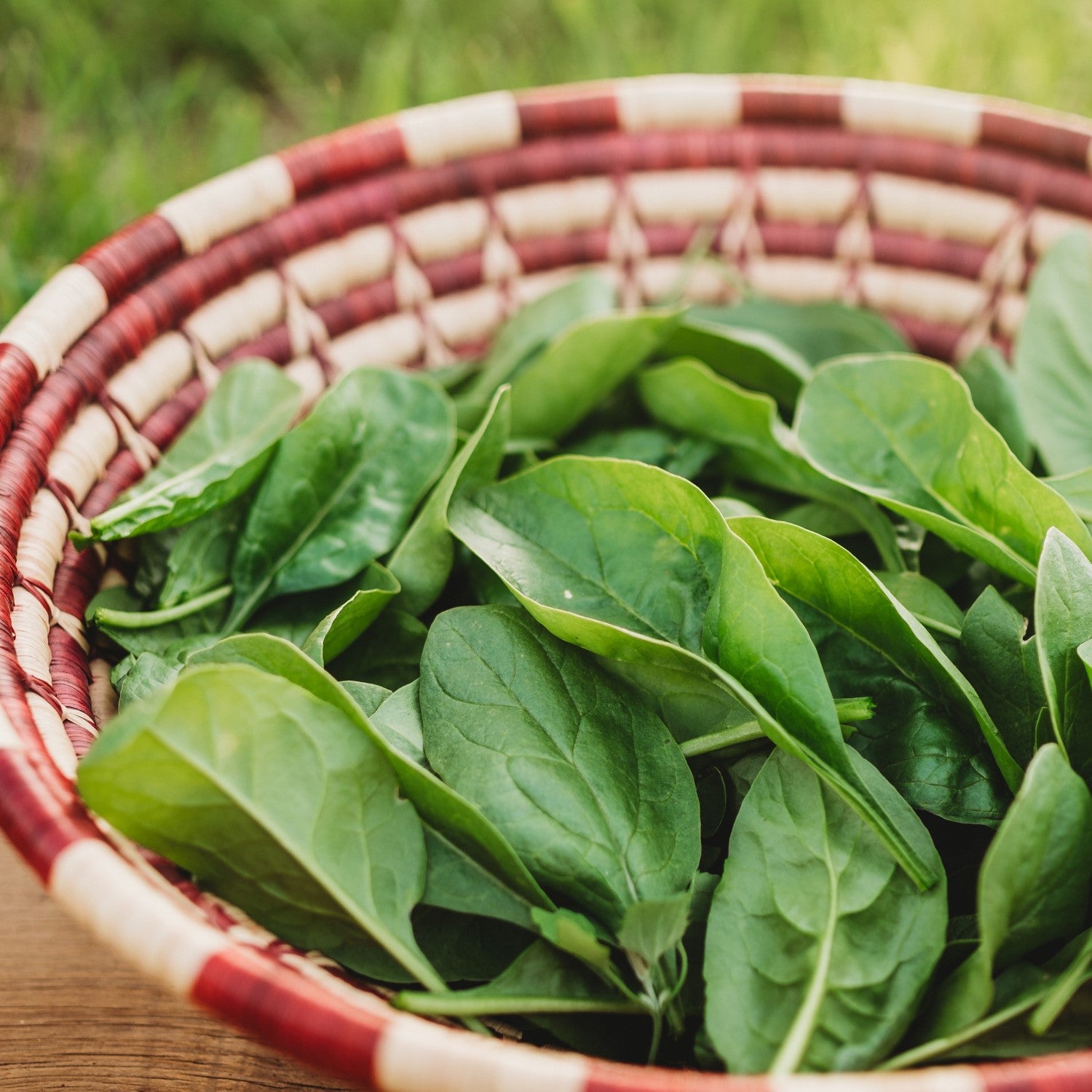 Spinach Companions