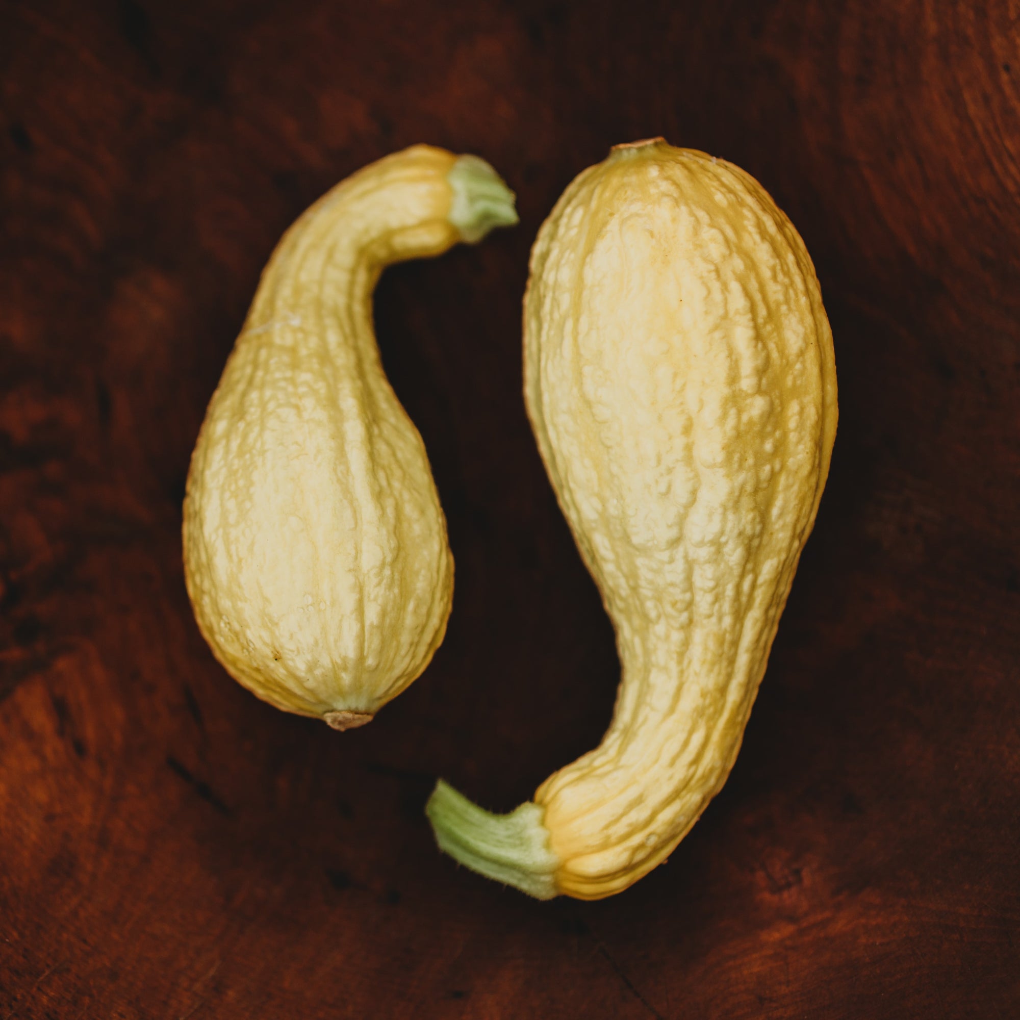 Heirloom Summer Squash