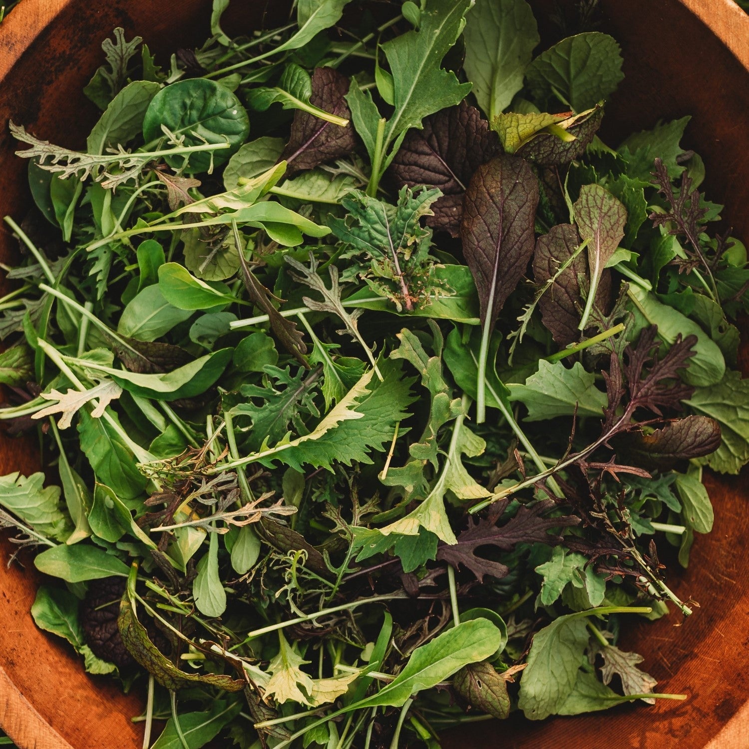 Cutting Greens