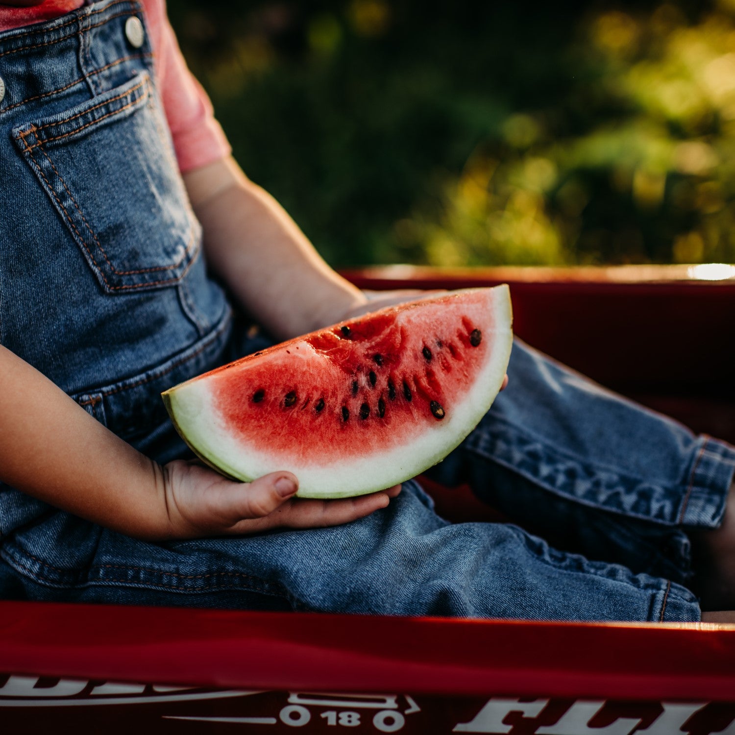 Watermelon Companions