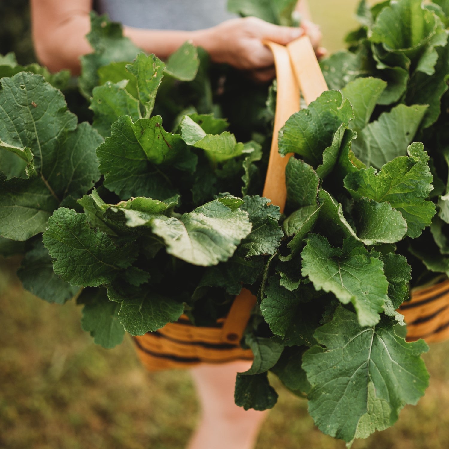 Heirloom Greens