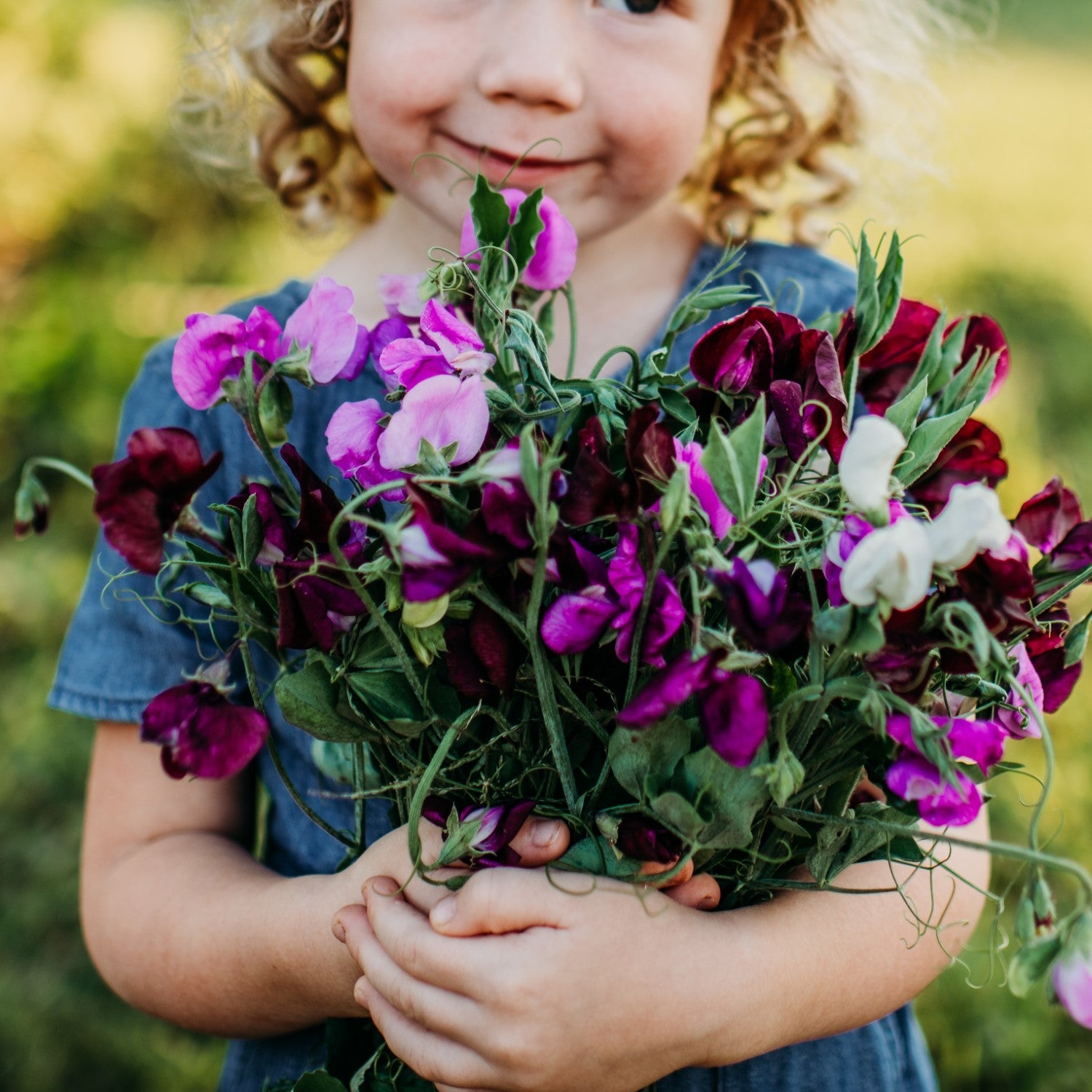 Vining Flowers