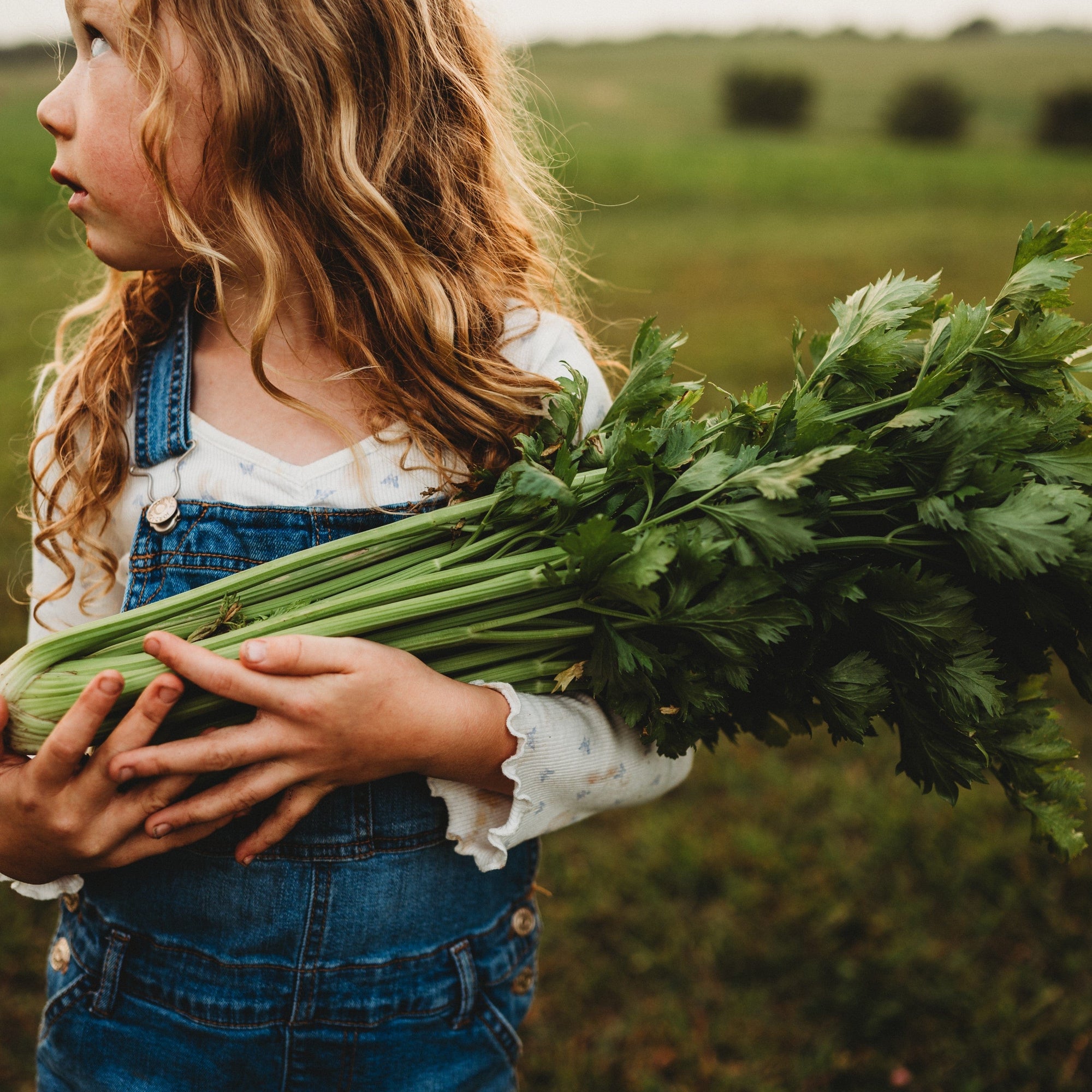 Celery Companions