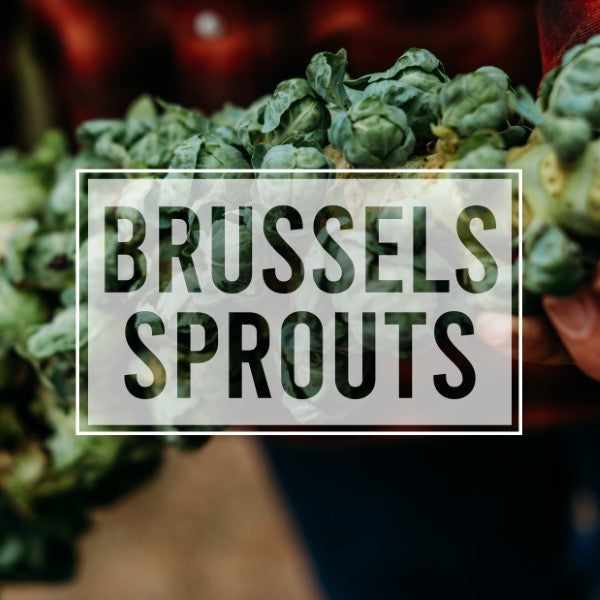 Brussels Sprouts