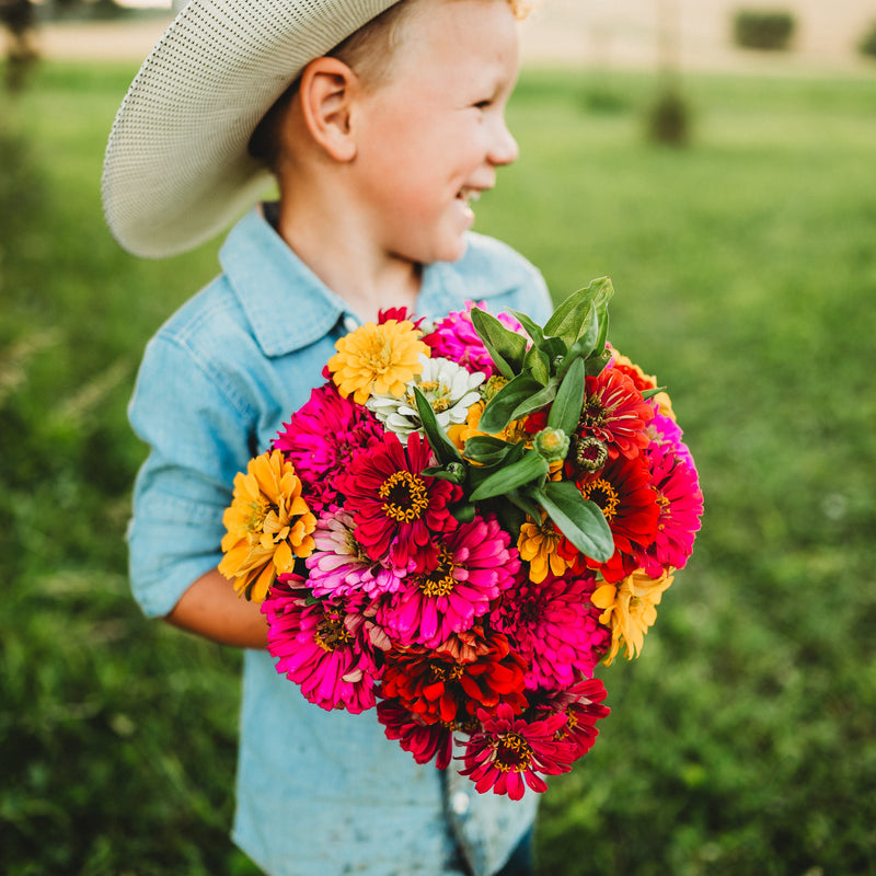 California Giants Zinnia Mix