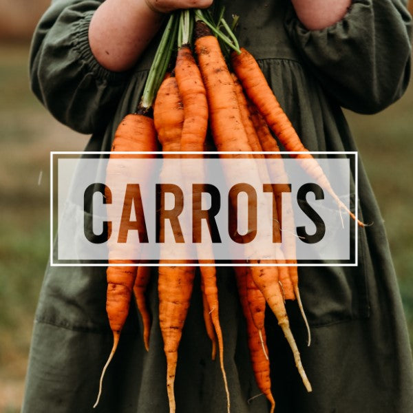 Carrots