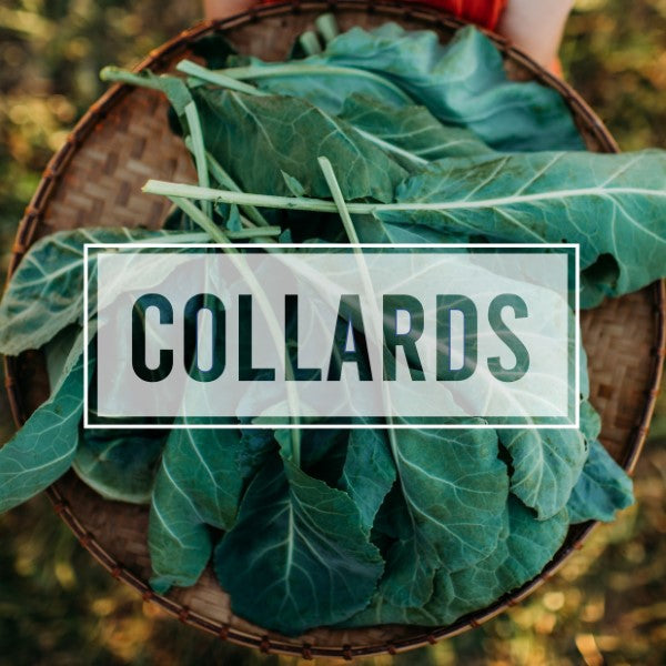 Collards