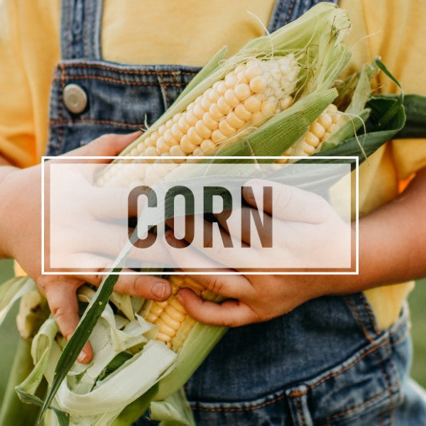 Corn