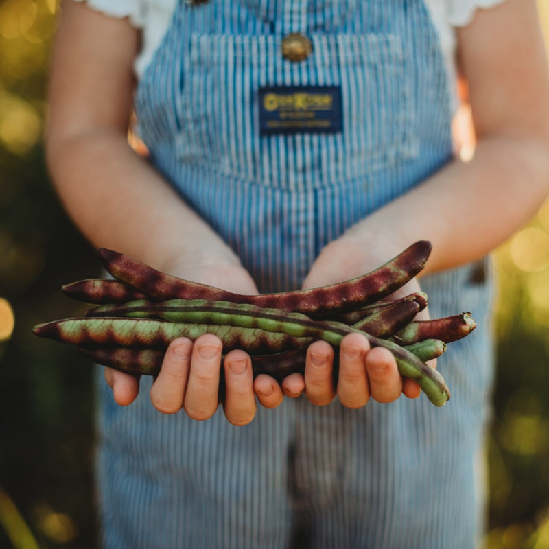 Girl holding cowpeas