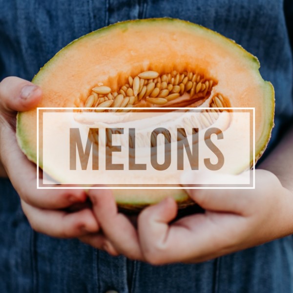 Melons