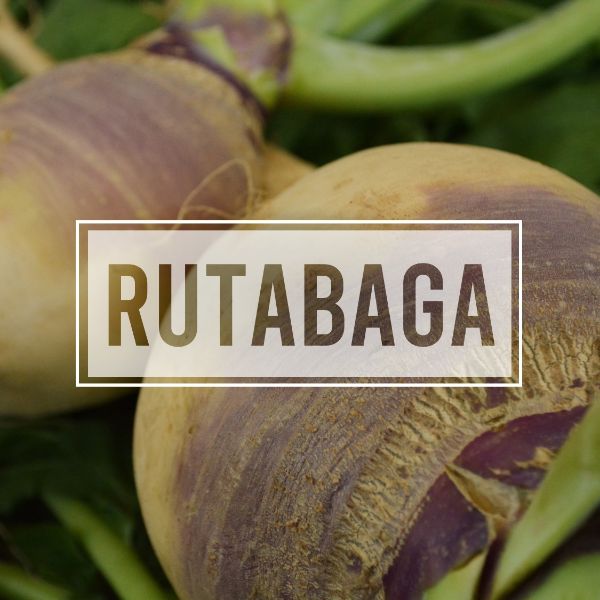 Rutabaga