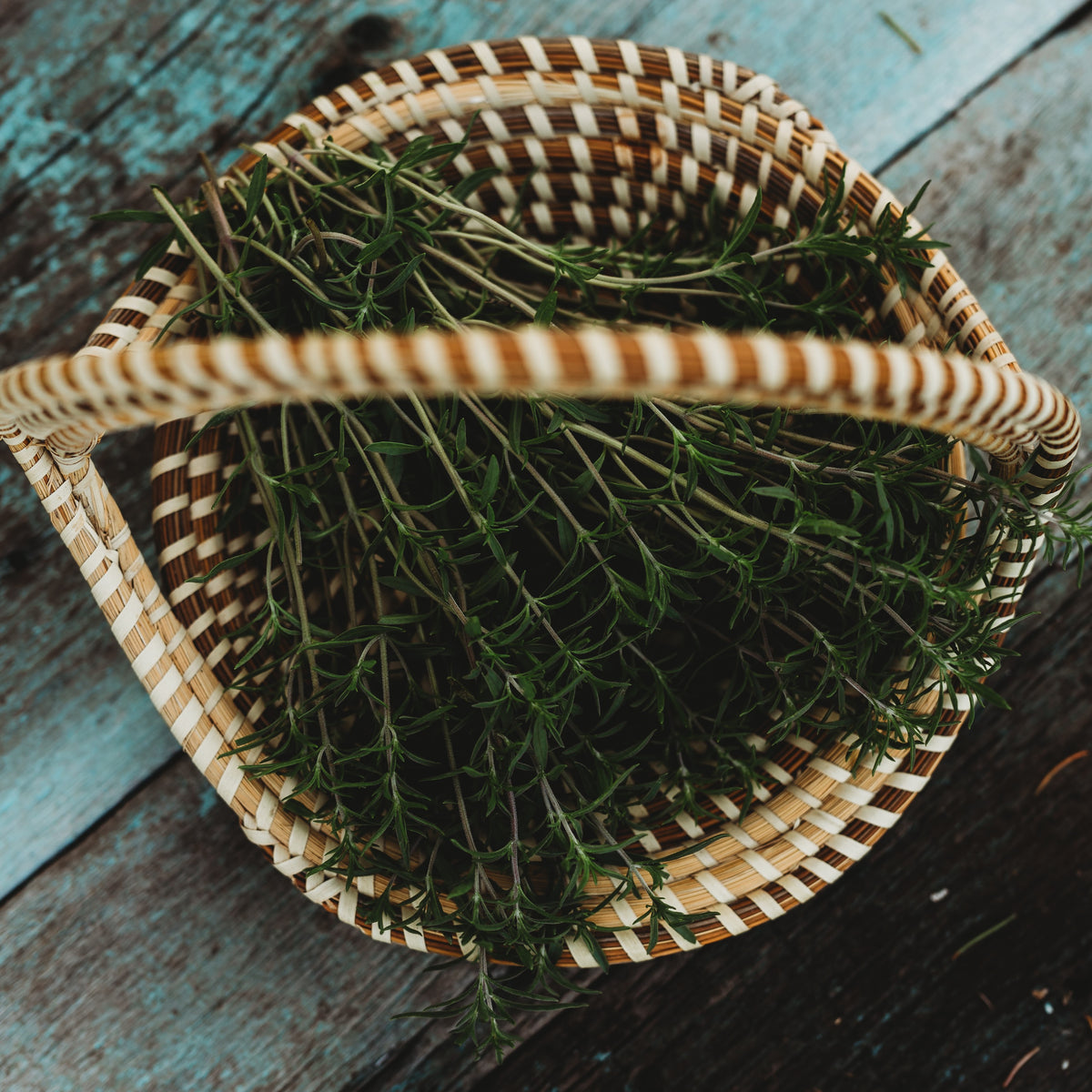 Summer Savory