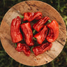 Aleppo (Halaby) Chile Pepper