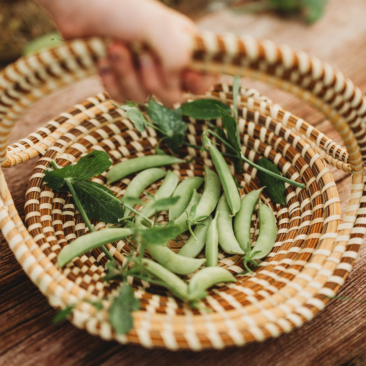 Amish Snap Pea