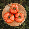 Andrew Rahart's Jumbo Red Tomato