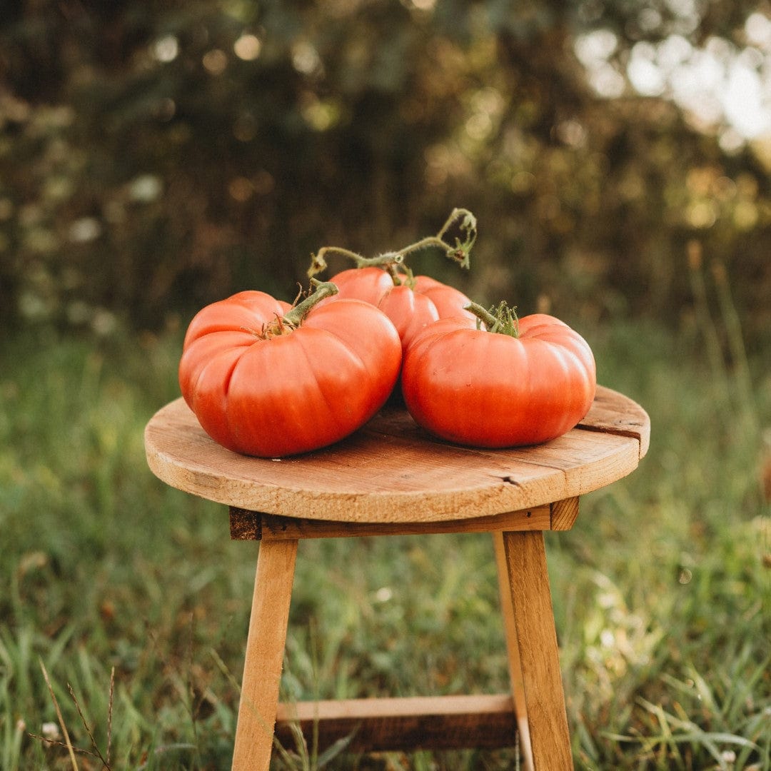 Andrew Rahart&#39;s Jumbo Red Tomato