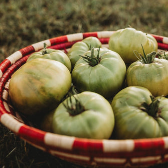 Aunt Ruby's German Green Tomato