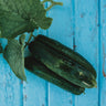 Beit Alpha Cucumber