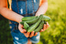 Beit Alpha Persian Cucumber