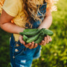 Beit Alpha Persian Cucumber