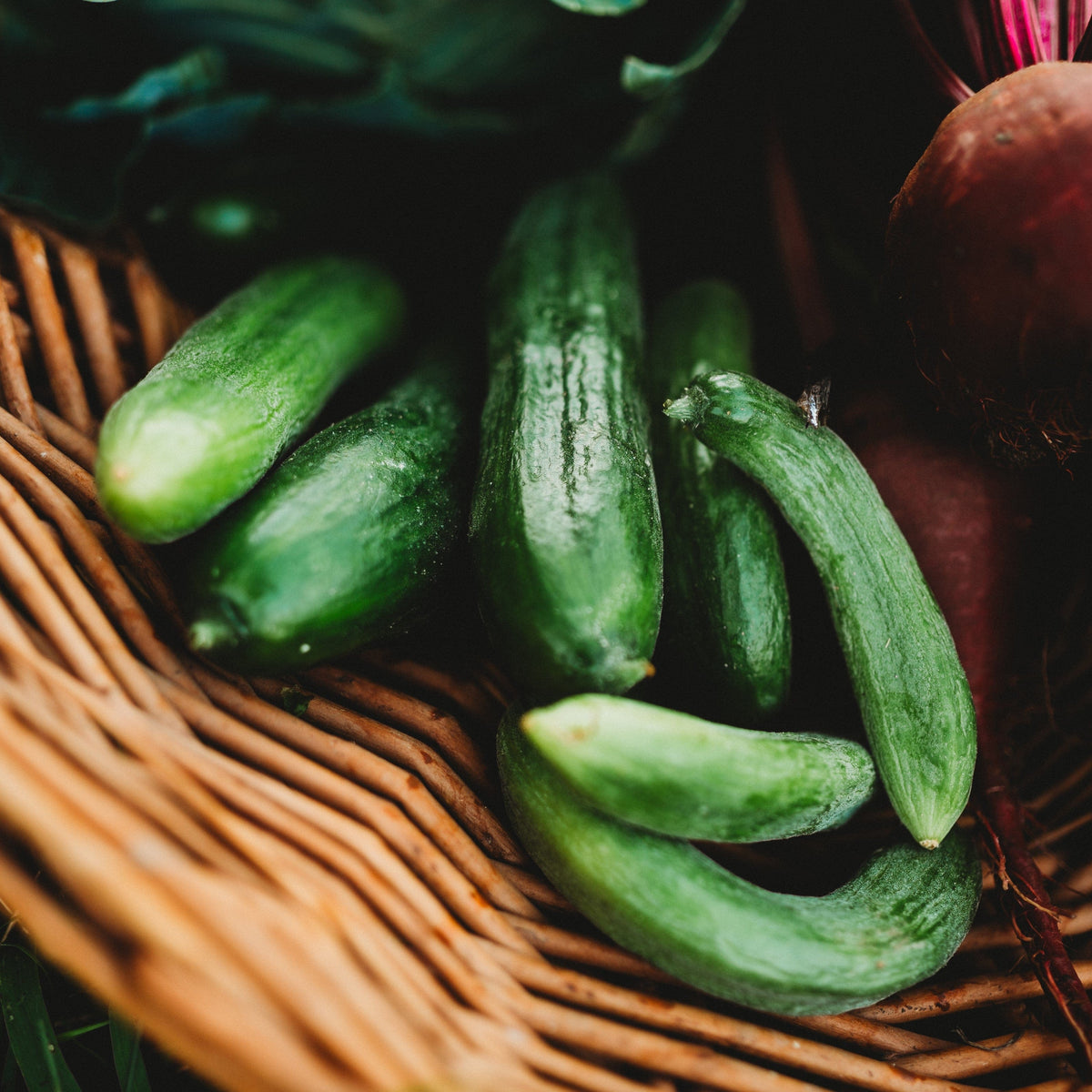 Beit Alpha Persian Cucumber