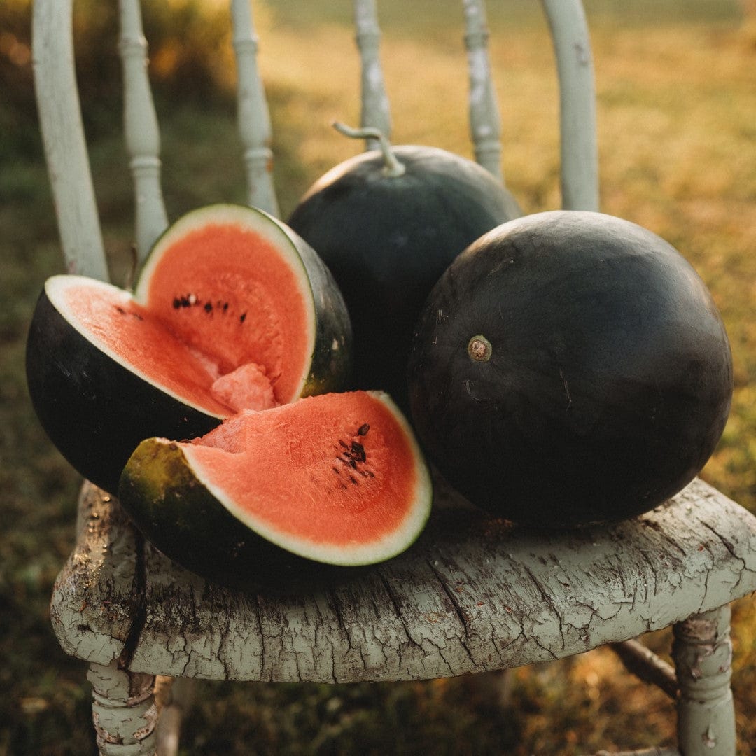 Black Tail Mountain Watermelon