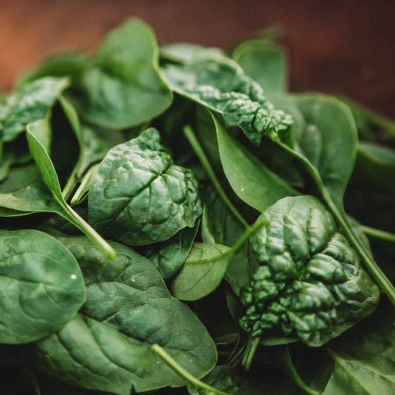 Bloomsdale Longstanding Spinach