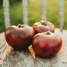 Brandywine Black Heirloom Tomato (Weaver's Strain)