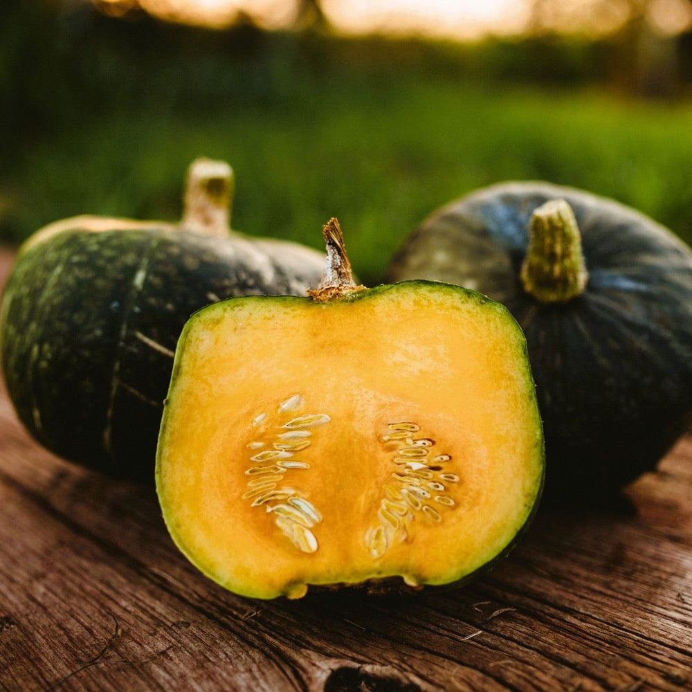 Burgess Buttercup Winter Squash