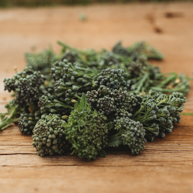 Calabrese Green Sprouting Broccoli