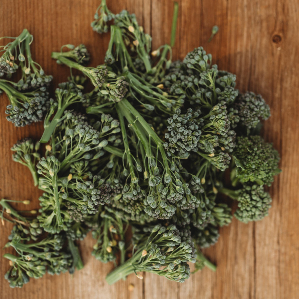 Calabrese Green Sprouting Broccoli