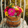 California Giants Zinnia Mix