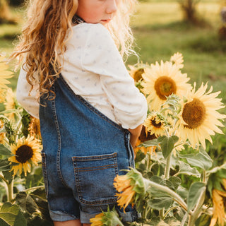 Carousel Dwarf Sunflower