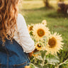 Carousel Dwarf Sunflower