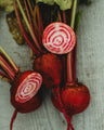 Chioggia Beet