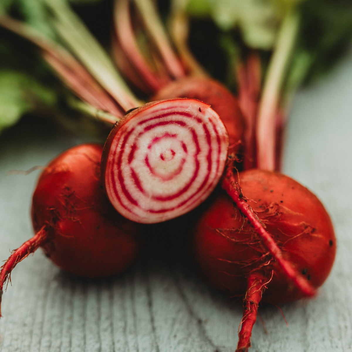 Chioggia Beet