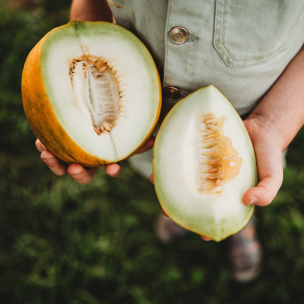 Collective Farm Woman Melon