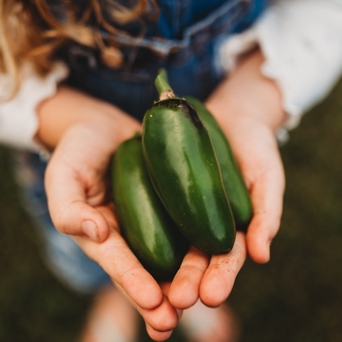 Craig&#39;s Grande Jalapeno