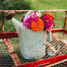 Dahlia Flowered Zinnia Mix