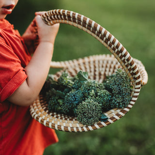 Di Cicco Broccoli