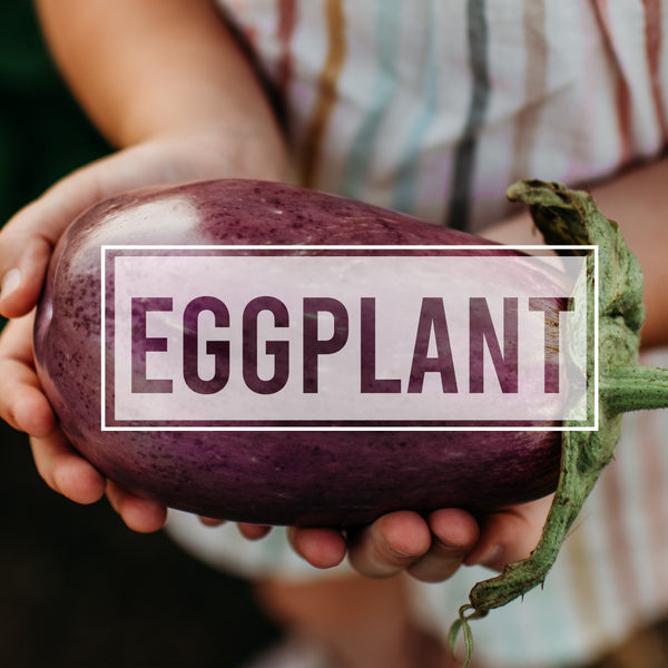 Eggplant