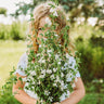 Elegant White Clarkia (Mountain Garland)