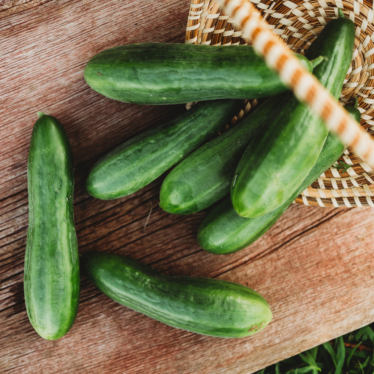 English Telegraph Cucumber